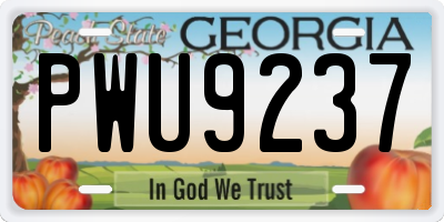 GA license plate PWU9237