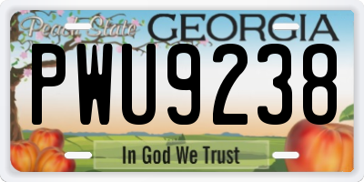 GA license plate PWU9238
