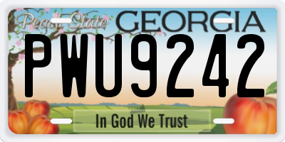 GA license plate PWU9242