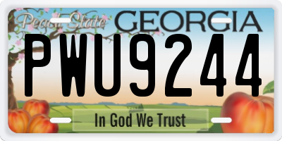 GA license plate PWU9244