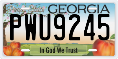 GA license plate PWU9245