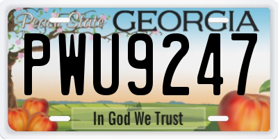 GA license plate PWU9247