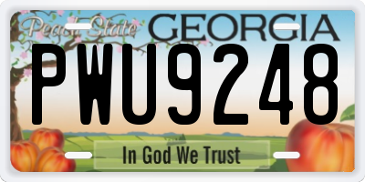 GA license plate PWU9248