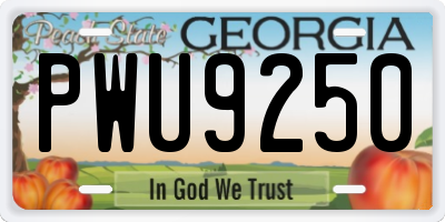 GA license plate PWU9250