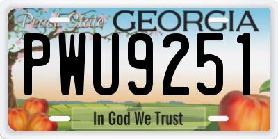GA license plate PWU9251