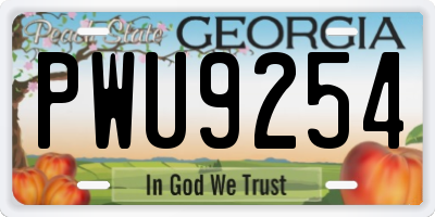 GA license plate PWU9254