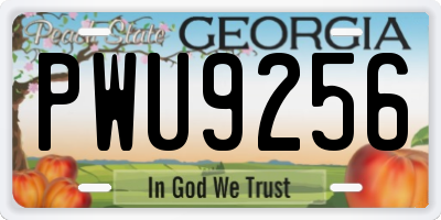 GA license plate PWU9256