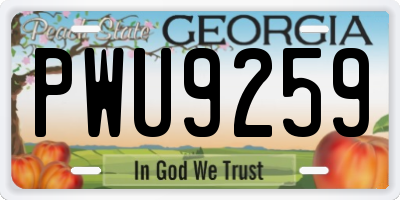 GA license plate PWU9259