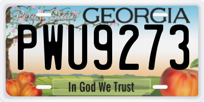GA license plate PWU9273
