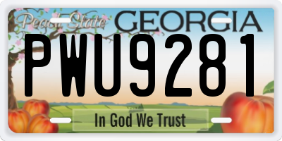 GA license plate PWU9281