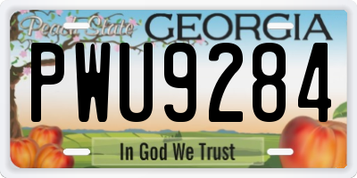 GA license plate PWU9284