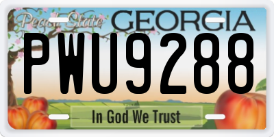 GA license plate PWU9288