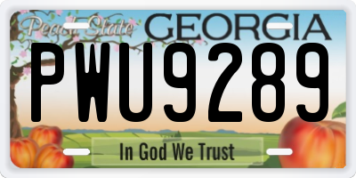 GA license plate PWU9289