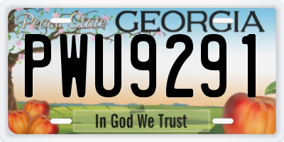 GA license plate PWU9291