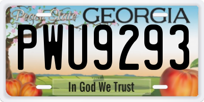 GA license plate PWU9293