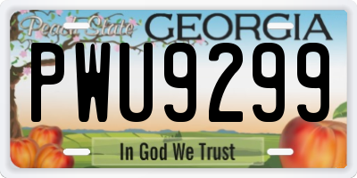 GA license plate PWU9299