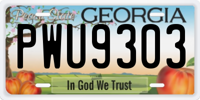 GA license plate PWU9303