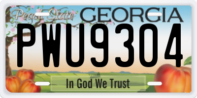 GA license plate PWU9304