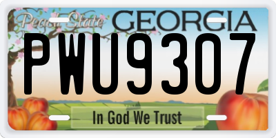 GA license plate PWU9307