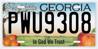 GA license plate PWU9308