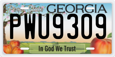 GA license plate PWU9309