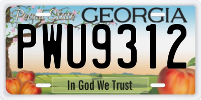 GA license plate PWU9312