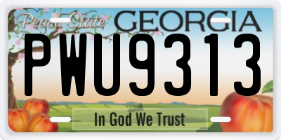 GA license plate PWU9313