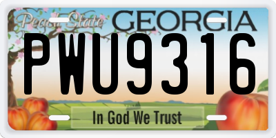GA license plate PWU9316
