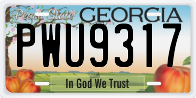 GA license plate PWU9317