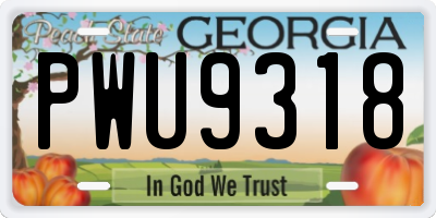 GA license plate PWU9318
