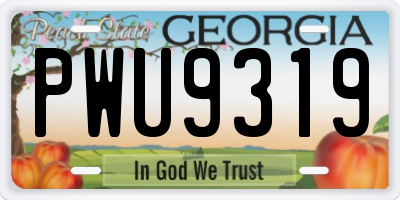 GA license plate PWU9319