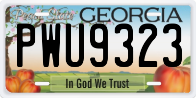 GA license plate PWU9323