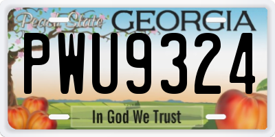 GA license plate PWU9324