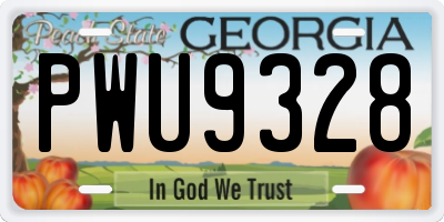 GA license plate PWU9328