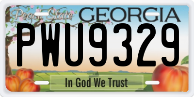 GA license plate PWU9329