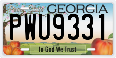 GA license plate PWU9331