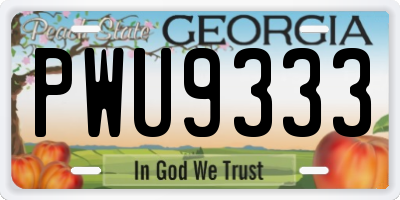 GA license plate PWU9333