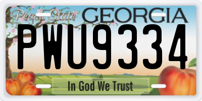 GA license plate PWU9334
