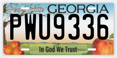 GA license plate PWU9336