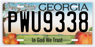 GA license plate PWU9338