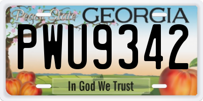 GA license plate PWU9342