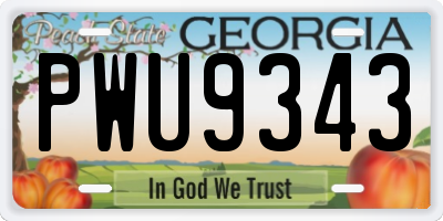 GA license plate PWU9343