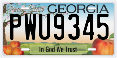 GA license plate PWU9345