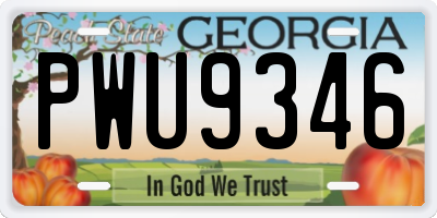 GA license plate PWU9346