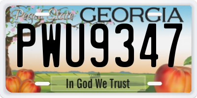GA license plate PWU9347