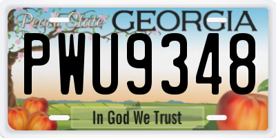 GA license plate PWU9348