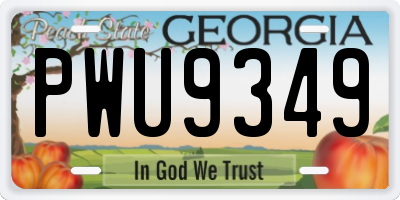 GA license plate PWU9349
