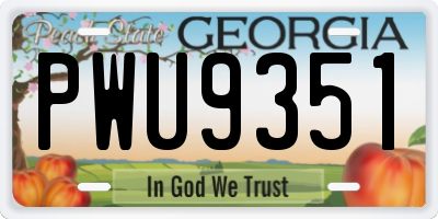 GA license plate PWU9351