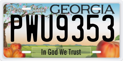 GA license plate PWU9353