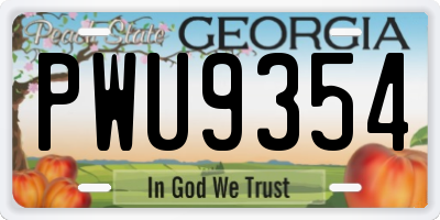 GA license plate PWU9354